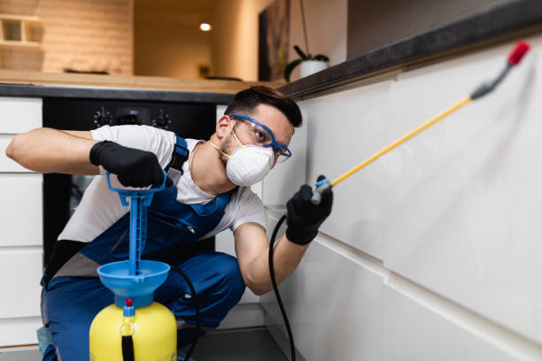 Best Pest Prevention Services  in Tumter, WA