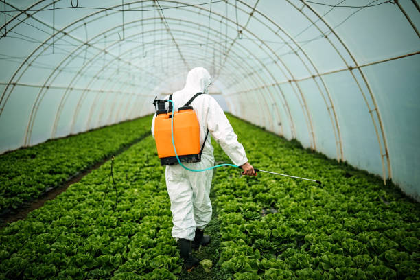 Best Exterminator Services  in Tumter, WA