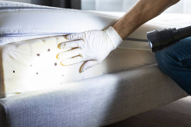 Best Bed Bug Extermination  in Tumter, WA
