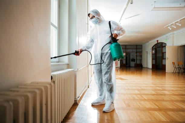 Best Flea Control Services  in Tumter, WA