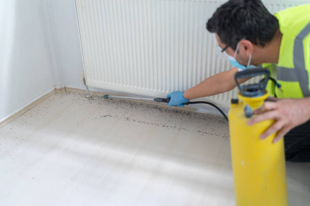 Best Best Pest Control Companies  in Tumter, WA