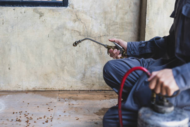 Best Residential Pest Control  in Tumter, WA