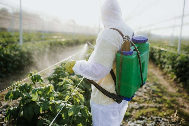 Best Pest Control Near Me  in Tumter, WA